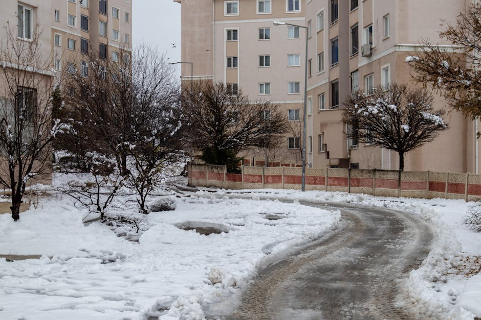 Outdoor scene reflecting long-term stewardship and community planning